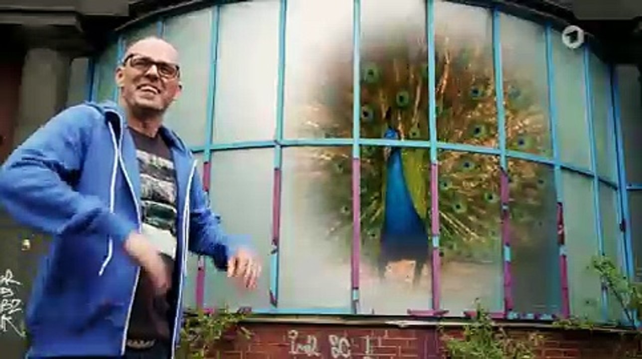 Dating im Tierreich | Wissen vor Acht: Natur | Das Erste