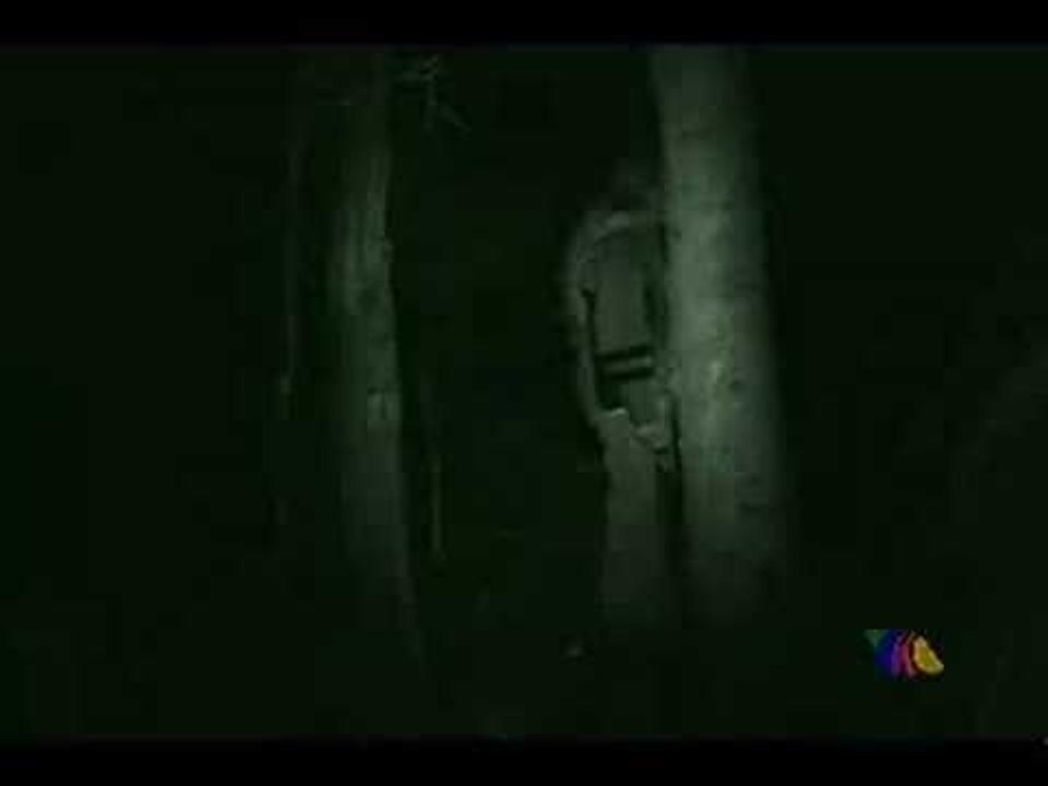 Infarto, Bosque del Terror