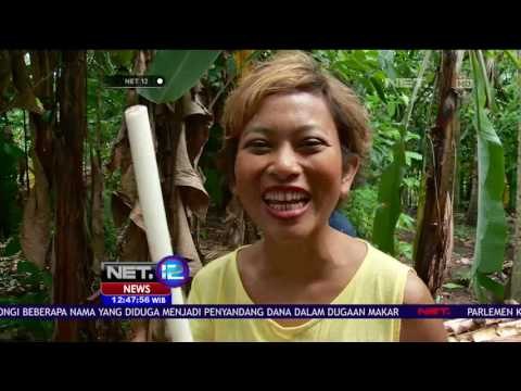 Little Explorer Menjajal Permainan Tradisional Begasingan - NET 12