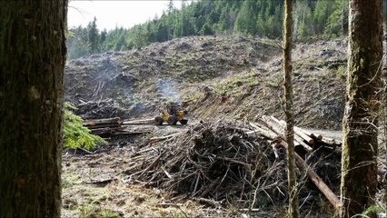 At the Top Tree Service LLC - (360) 410-7240