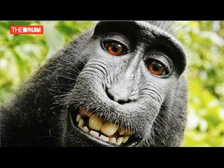 Silly Season: Paul McEntee's Top Three Silliest News Stories