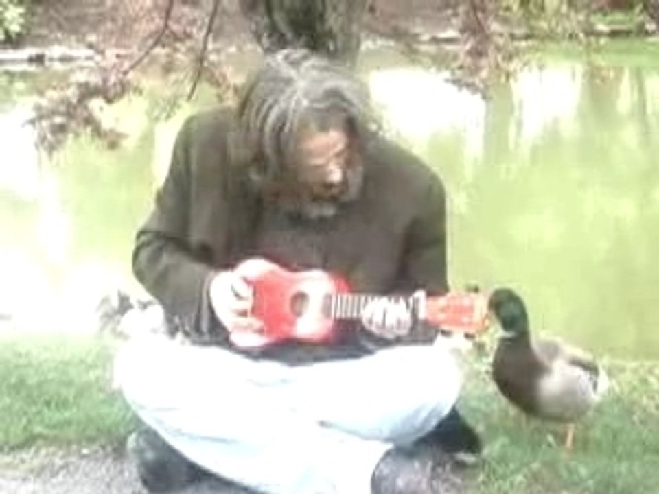 The puppy song