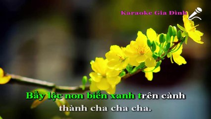 Con Bướm Xuân Karaoke - Beat Chuẩn (Hồ Quang Hiếu)