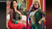 8 Pakistani Famous Celebrities, Who Went From Fab To Flab