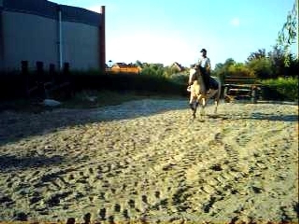 OSLO OXER 3 15/09