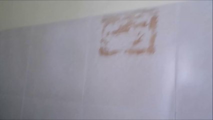 Tuffinho e Buda - Onde os galhos não tem vez