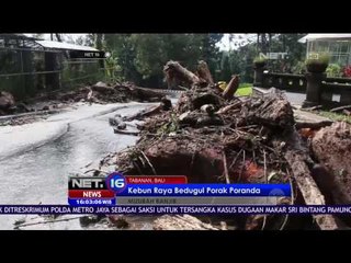 Pasca Banjir Bandang Kawasan Kebun Raya Bedegul Ditutup 2 Hari - NET 16