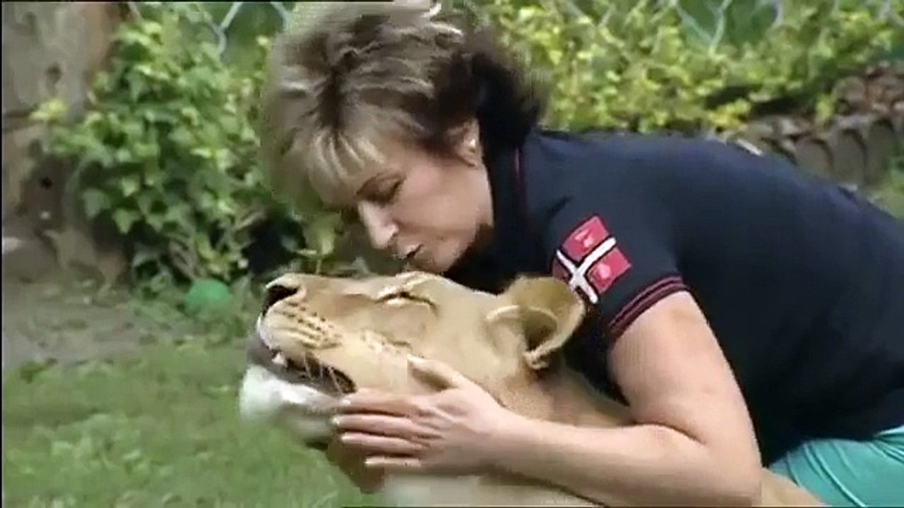 Tigre ataca dentro de casa