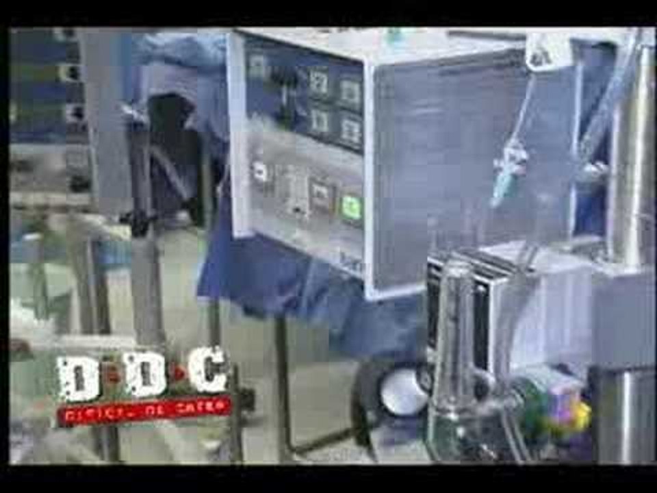 Difícil de creer, Celulas madres