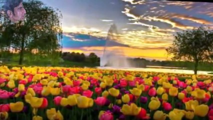 Kale Kale Badal Jab Bhe Chayin Gay Full Video Song HD 1080p