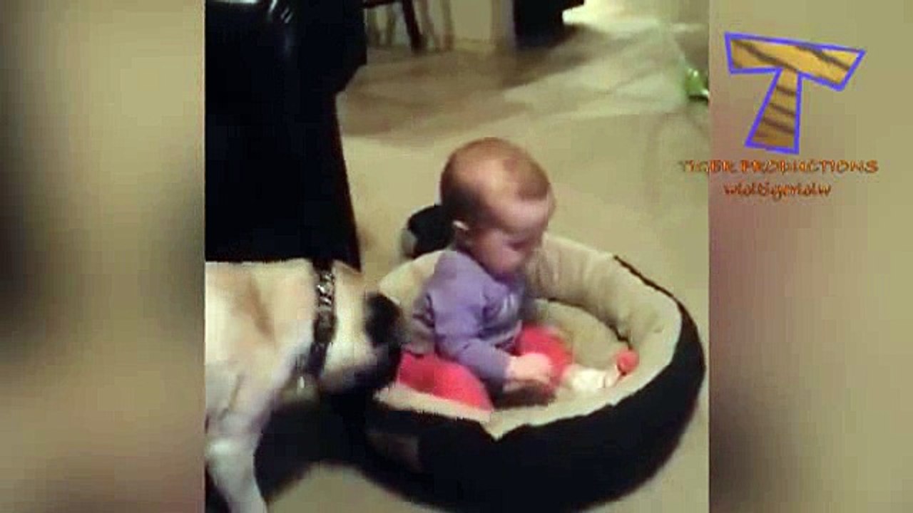 Funny babies _13