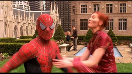 spiderman the vengeful one