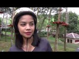 Agro Wisata Kampoeng Kopi di Semarang Cocok Untuk Pencinta Uji Nyali - NET 12