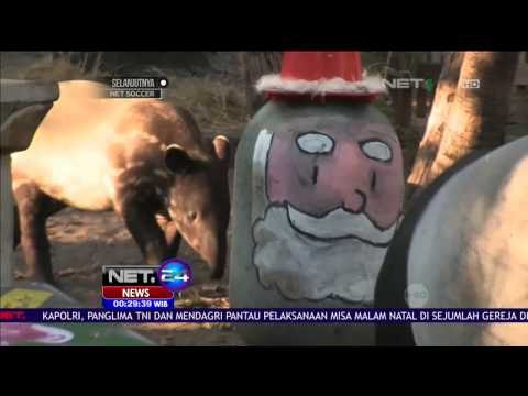 Pohon Natal Hiasi Kandang Satwa Florida - NET24