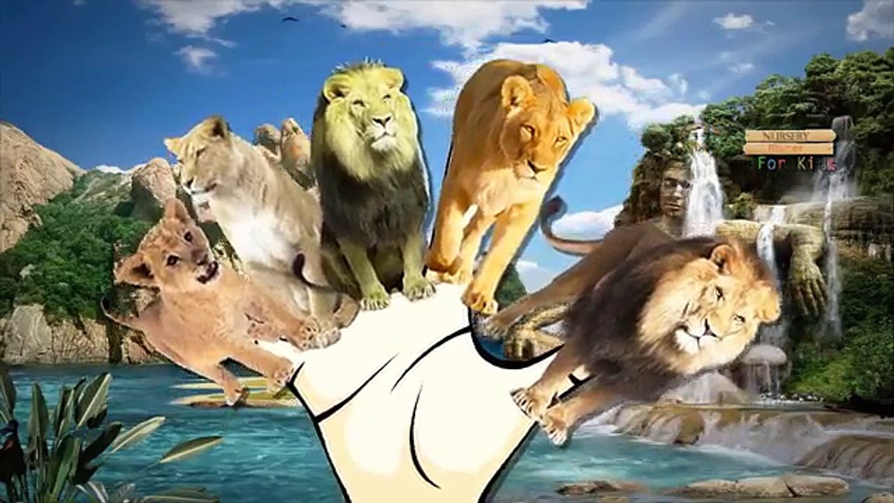 Lion Cartoons Finger Family Children Nursery Rhymes | Lion Cartoon Finger Family Nursery Rhymes