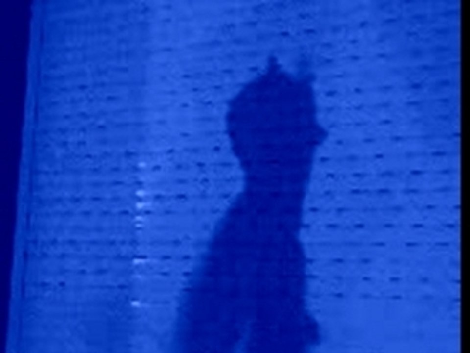 Batman's little batman