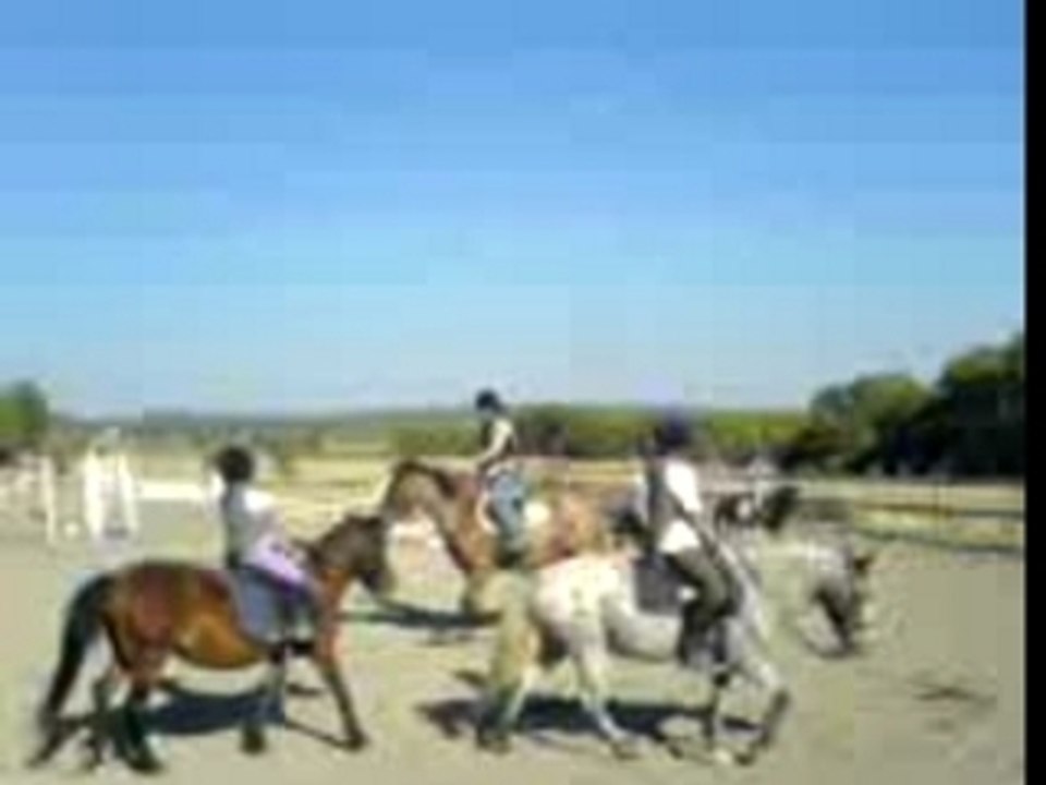 une westerneuse au pays des playmobils