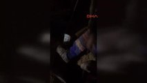 Beykoz'da Kuyuya Düşen Yavru Köpek Kurtarıldı -Kurtarma Anı Ek Görüntüleri