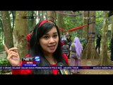 Wisata Selfie di Atas Hammock di Taman Hutan Raya Bandung - NET5