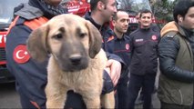 Kuyu? Köpek Beykoz Itfaiyesinde; Kurtaran Ekip Anlattı