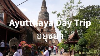 Ayutthaya Day Tour - HUGE Freshwater Shrimp in Thailand! เที่ยวอยุธยา กินกุ้งแม่น้ำจัมโบ้ มันเยิ้ม-wjZM0FUMvh0