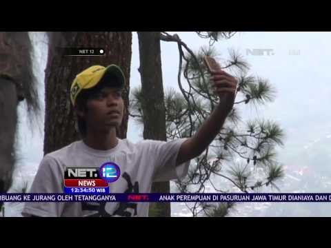 Omah Kayu Wisata Alam Rumah Kayu di Hutan Pinus — NET12