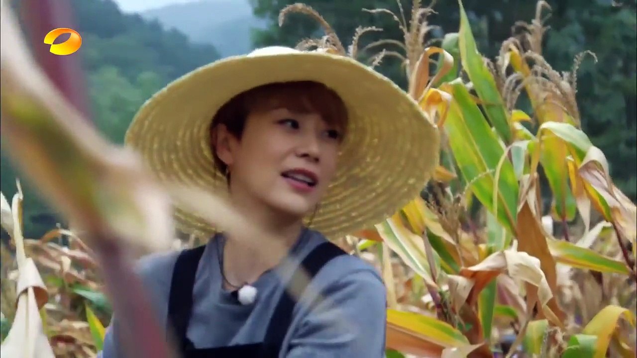 《向往的生活》精彩看点 - 海清、李解飙戏CUT - 串戏根本停不下来 黄磊迷幻扮演豌豆射手简直有毒 Happy Life Recap【湖南卫视官方频道】-uzErA2ACBzQ