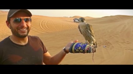 Peshawar Zalmi Title Song by Arbaz Khan ft Imran Aziz Mian 2017 | New Songs