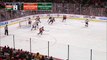 Anaheim Ducks vs Minnesota Wild | NHL | 14-FEB-2017