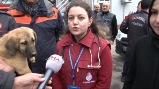 Kuyu Beykoz Itfaiyesinde; Kurtaran Ekip Anlattı
