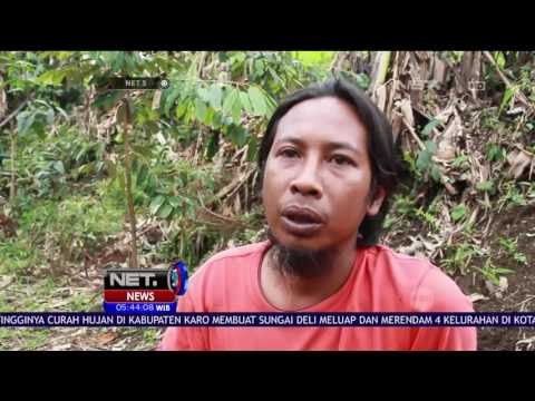 Inovasi Membuat Jagung Warna - warni - NET 5