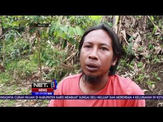 Inovasi Membuat Jagung Warna - warni - NET 5