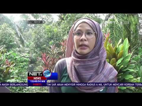 Nikmati Liburan dengan Wisata Ketangkasan di Medan - NET12