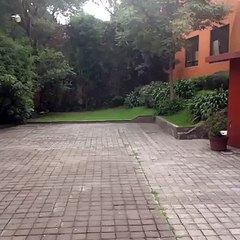 Marco PoloVine: Juanpa Zurita