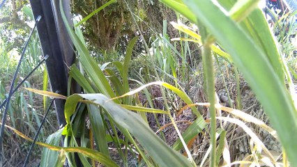 4k, ultra hd, Mtb, vamos nas aventuras, trilhas Morro Vermelho e Ribeirão Grande, porque  pedalamos, (15)