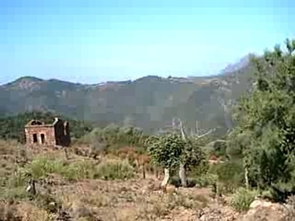 Pinitu