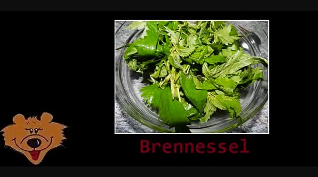 Kräuter Bärklärung 1