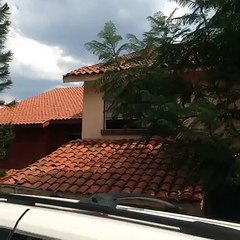 Romeo y Julieta (version canina)Vine: Juanpa Zur...