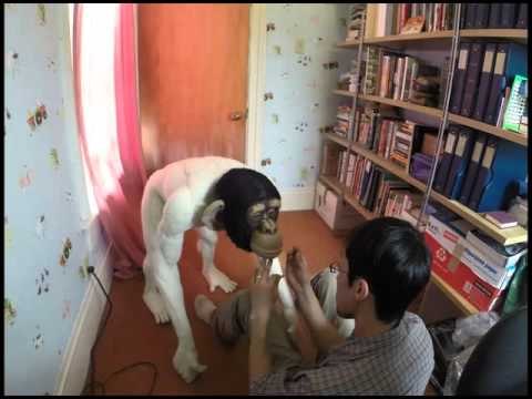 Artist Creates Incredibly Lifelike Chimpanzee Through Wool Needle Felting
