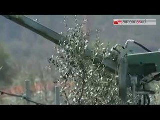 TGSRV 14FEB IRRIGAZIONE ENTE