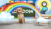 Aprender el Alfabeto con Lizzy el Perro | ABC Video para Niños Parte 4