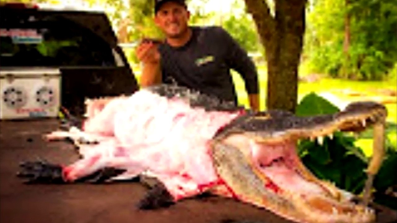 [약혐] 산채로 먹히는 동물들