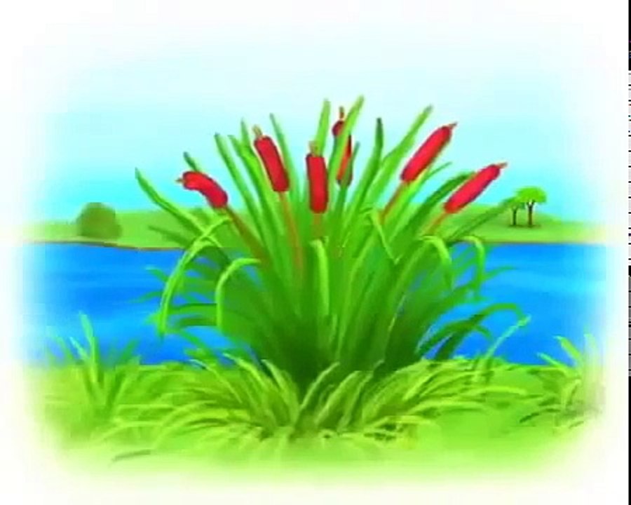 Mejor que desarrolla de dibujos animados para niños Tiny Love 1 y 2 parte