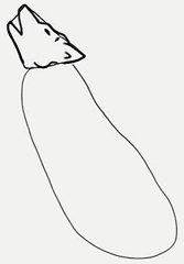 How to draw a wolf - kurt nasıl çizilir