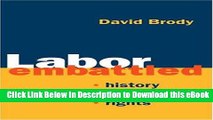 [Read Book] Labor Embattled: History, Power, Rights (Working Class in American History) Mobi