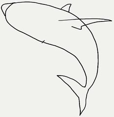 How to draw a shark - köpek balığı nasıl çizilir