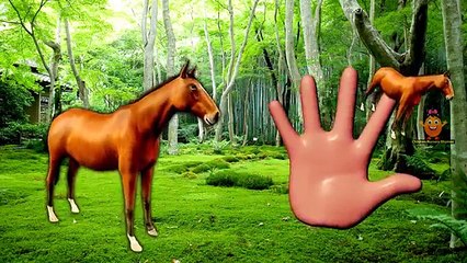 Horse Finger Family Children Nursery Rhymes | Horse Finger Family Songs