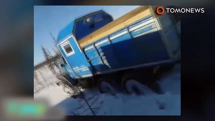 A fúria entrou em erupção on-line quando matança de urso russo viralizou.