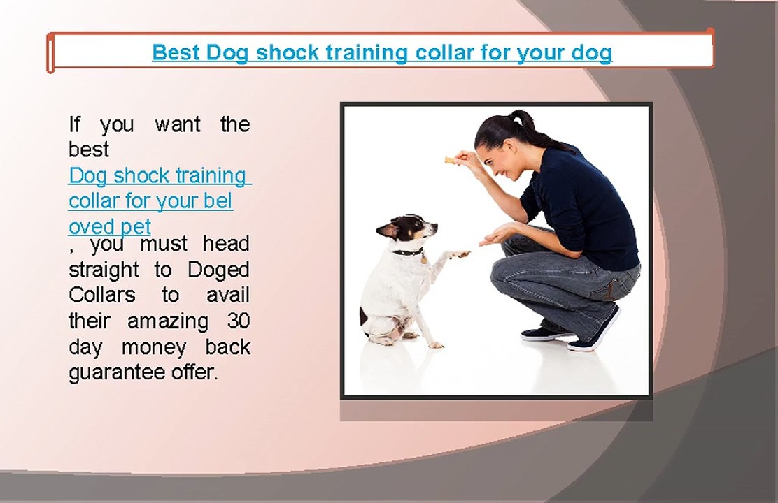 Best Dog shock training collar for your dog