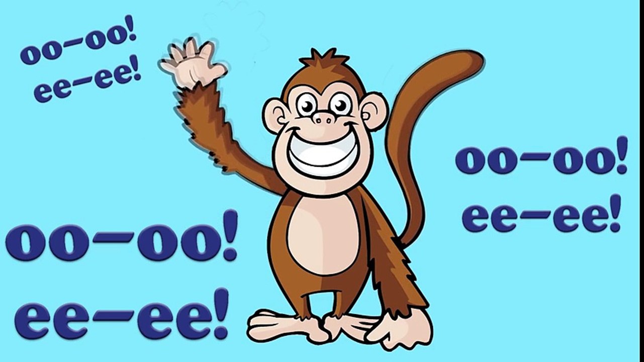 Animal Sounds Song  2